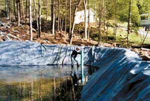 Karen Anderson and Mike Kelley created a natural swimming pool. For the pond liner, they used a 50-mil roofing membrane, which was less expensive than a pond liner.